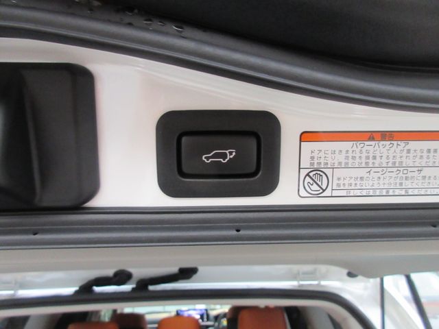 Lexus LX 2019-04 1864-13