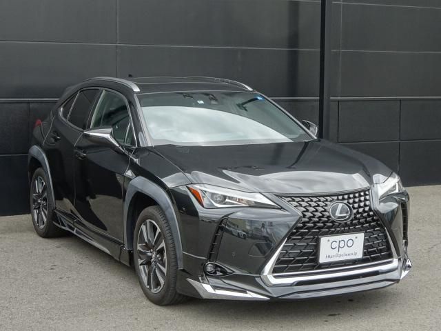 Lexus UX 2020-08 18086-2