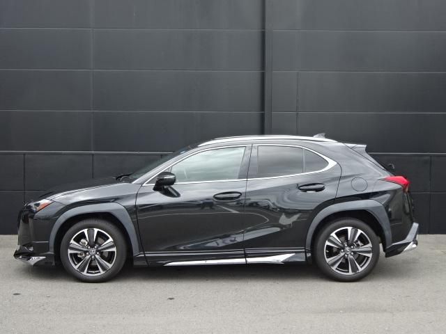 Lexus UX 2020-08 18086-7