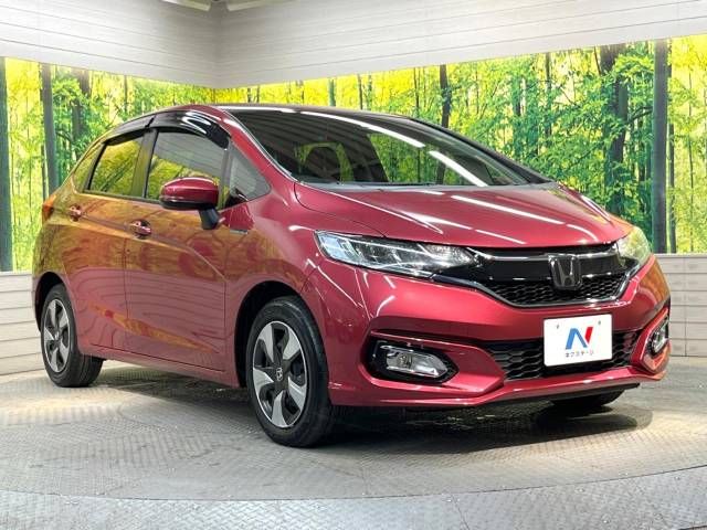Honda FIT HYBRID 2019-06 13746-16