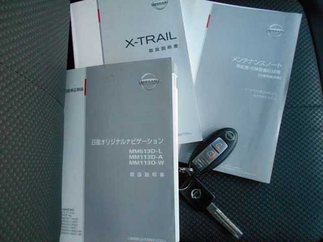Nissan X-TRAIL 2013-11 29211-17