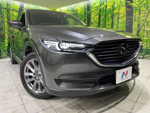 Mazda CX-8 2019-10 186991-13