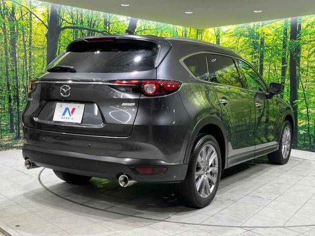 Mazda CX-8 2019-10 186991-18