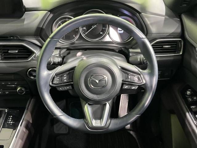 Mazda CX-8 2019-10 186991-12