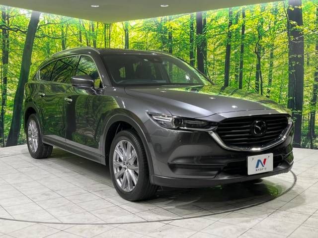 Mazda CX-8 2019-10 186991-17