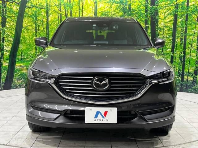 Mazda CX-8 2019-10 186991-15