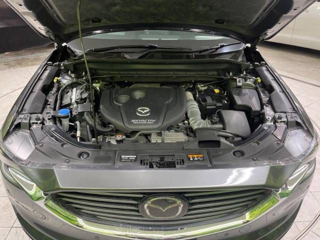 Mazda CX-8 2019-10 186991-19