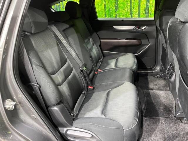 Mazda CX-8 2019-10 186991-9