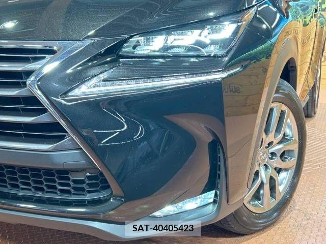 Lexus NX 2015-04 275679-12