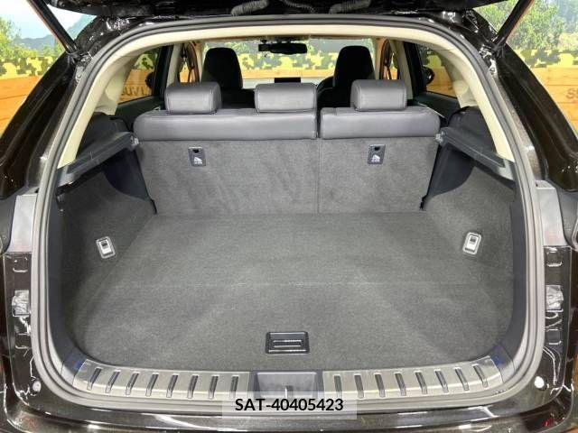 Lexus NX 2015-04 275679-10