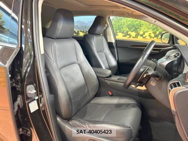 Lexus NX 2015-04 275679-8