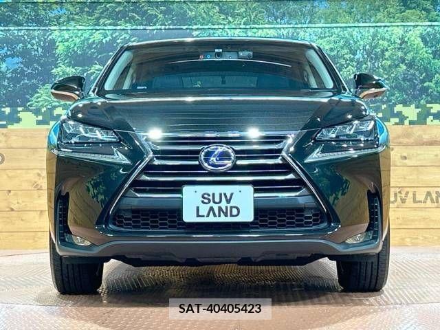 Lexus NX 2015-04 275679-14