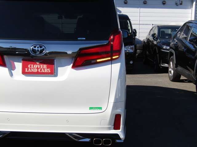 Toyota ALPHARD 2022-05 15029-7
