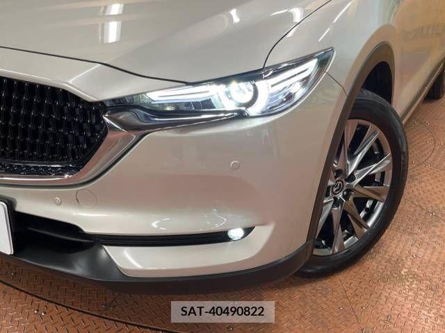 Mazda CX-8 2021-06 379766-13