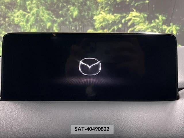 Mazda CX-8 2021-06 379766-2
