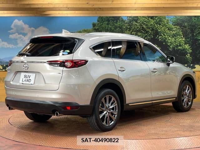 Mazda CX-8 2021-06 379766-18