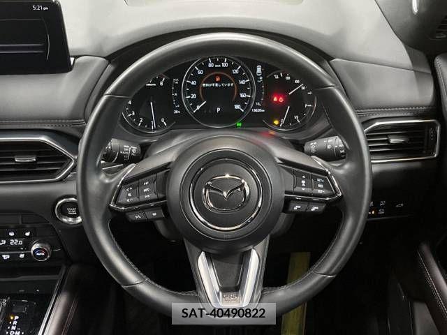 Mazda CX-8 2021-06 379766-8