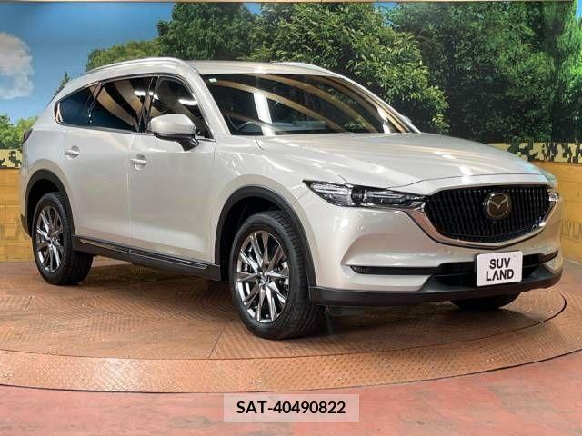 Mazda CX-8 2021-06 379766-17