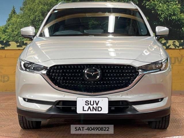 Mazda CX-8 2021-06 379766-15