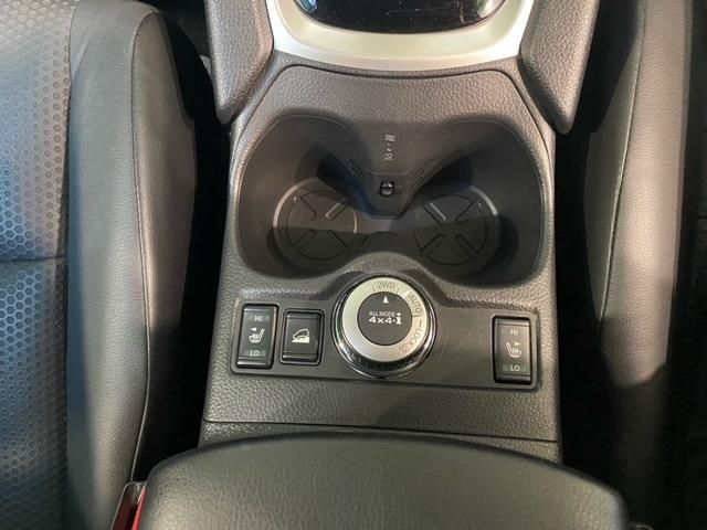 Nissan X-TRAIL 2017-03 23647-16