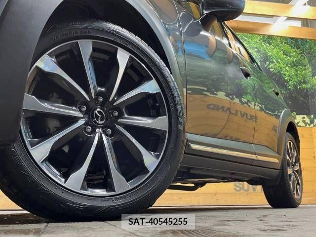 Mazda CX-3 2018-05 223830-13