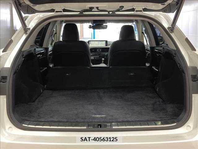Lexus RX 2017-05 298612-13