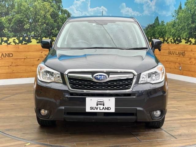 Subaru FORESTER 2014-01 14092-14