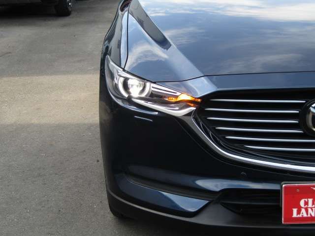 Mazda CX-8 2018-10 24109-6