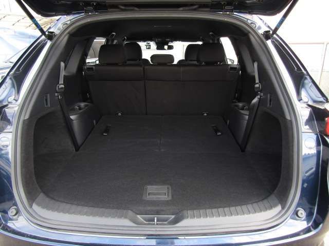 Mazda CX-8 2018-10 24109-8