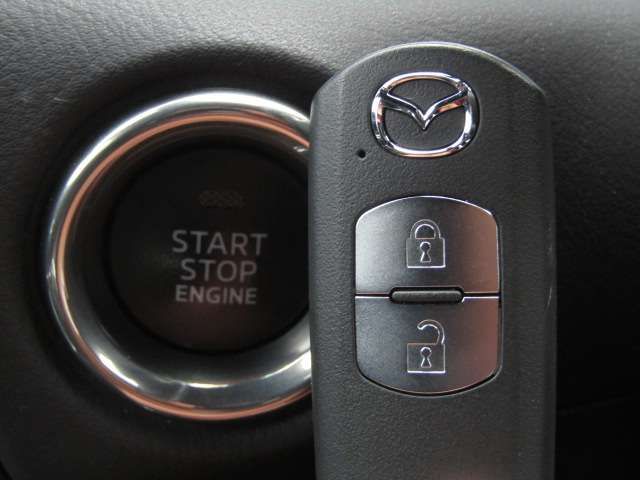 Mazda CX-8 2018-10 24109-13