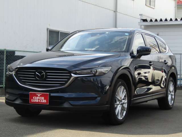 Mazda CX-8 2018-10 24109-19