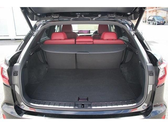 Lexus RX 2016-05 20334-17
