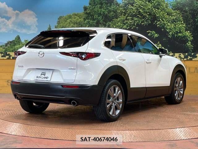Mazda CX-30 2021-03 220167-17