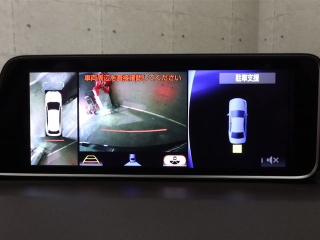 Lexus RX 2016-01 812-14