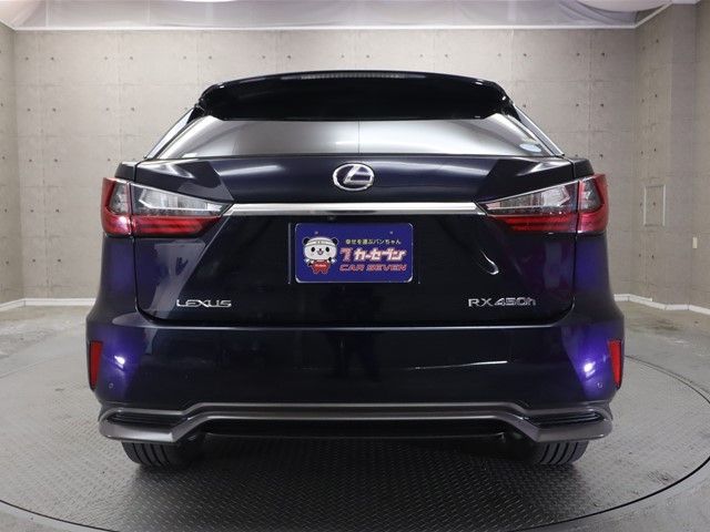 Lexus RX 2016-01 812-23