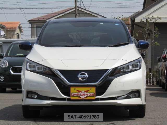 Nissan LEAF 2018-09 230158-1