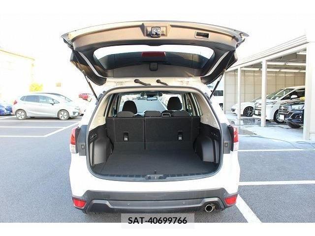Subaru FORESTER 2019-02 252446-16