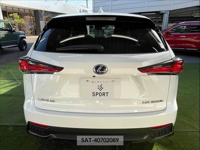 Lexus NX 2018-06 223480-13