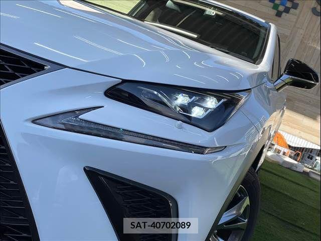 Lexus NX 2018-06 223480-19