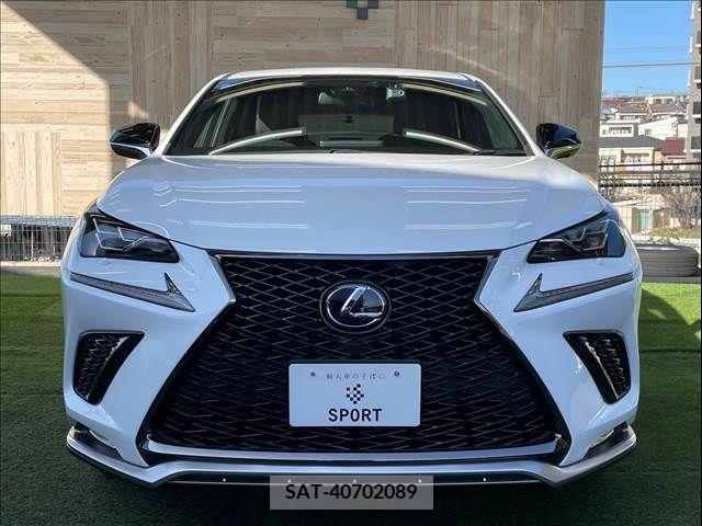 Lexus NX 2018-06 223480-12