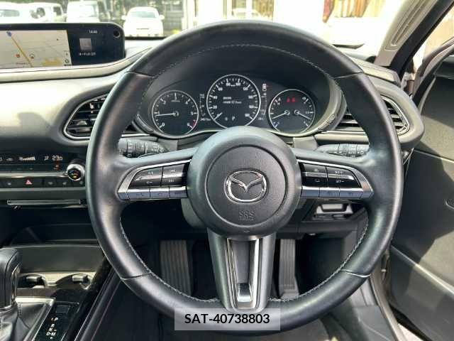 Mazda CX-30 2022-06 331989-11