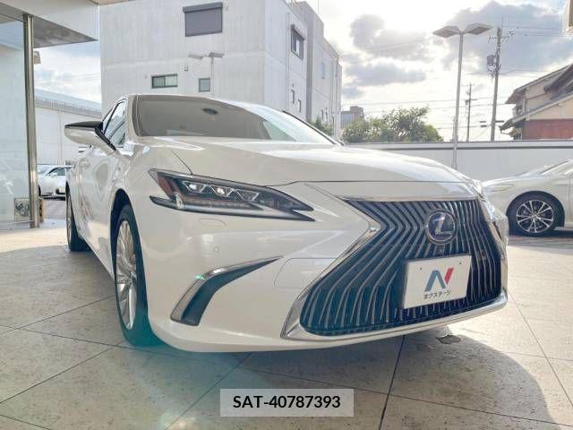 Lexus ES 2019-11 387818-16