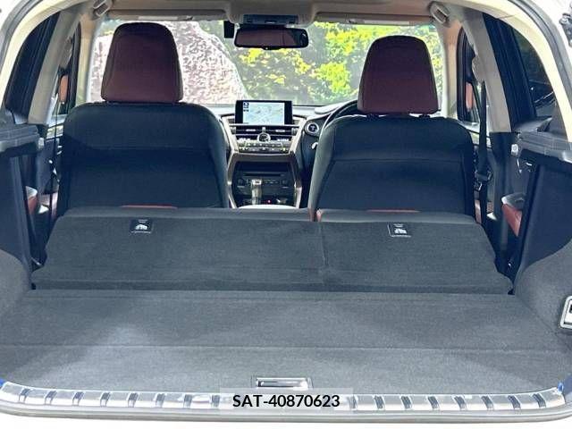 Lexus NX 2016-07 353994-10