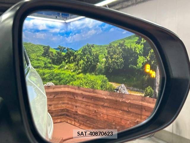 Lexus NX 2016-07 353994-6