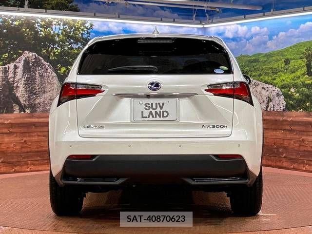 Lexus NX 2016-07 353994-15