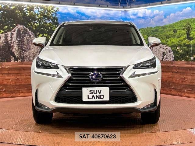 Lexus NX 2016-07 353994-14