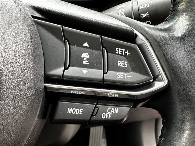 Mazda AXELA 2016-11 181266-24