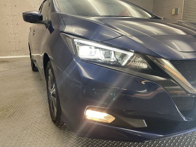 Nissan LEAF 2019-09 182719-9