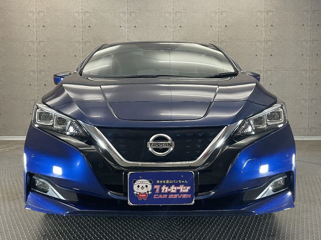 Nissan LEAF 2019-09 182719-4