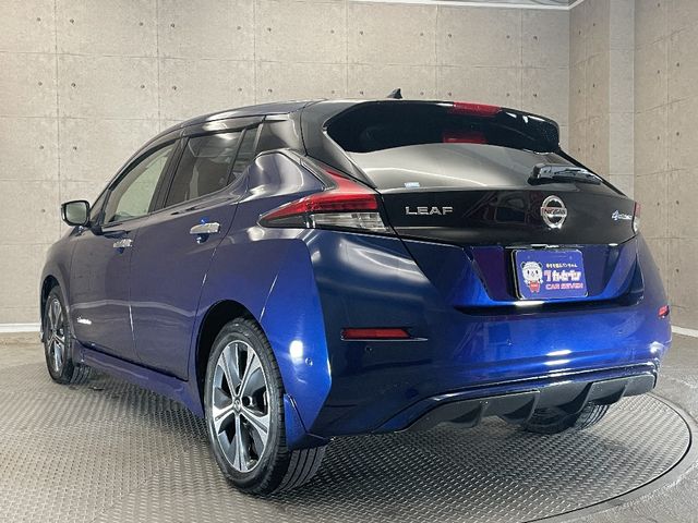 Nissan LEAF 2019-09 182719-2
